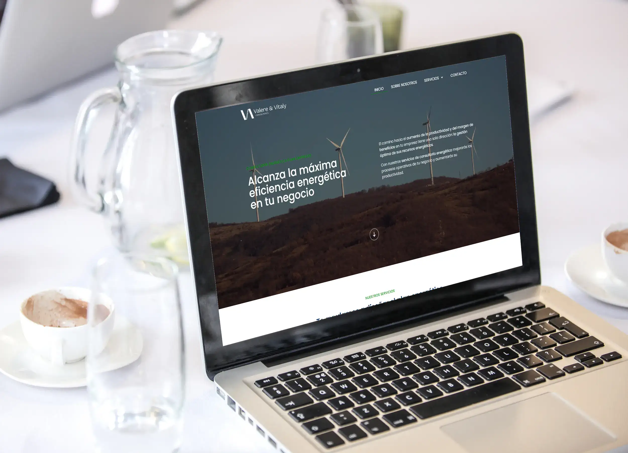 Valerey & Vitaly Consultores