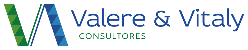 Valerey & Vitaly Consultores
