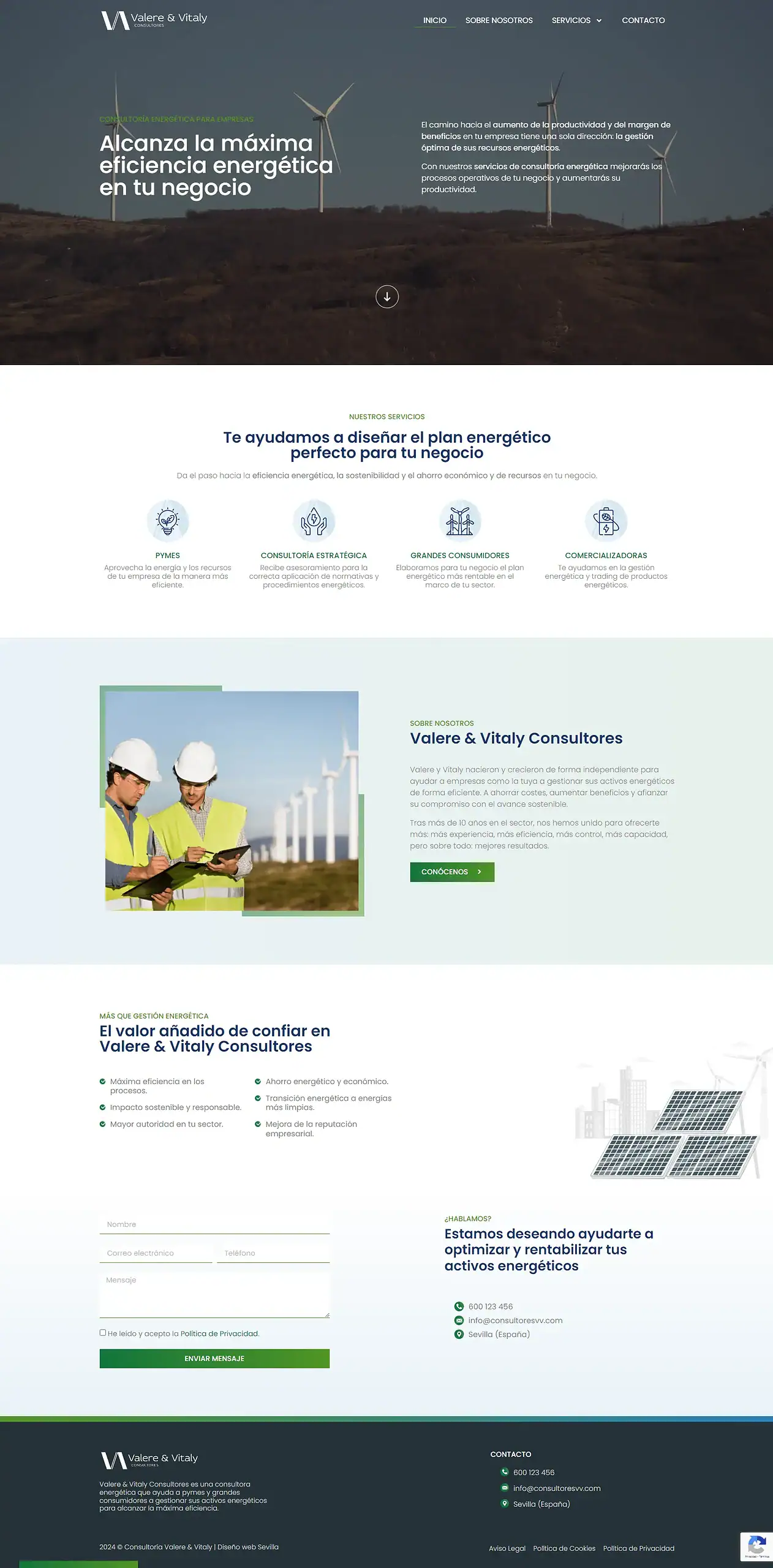 Valerey & Vitaly Consultores