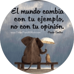 Consultor Marketing Digital Sevilla